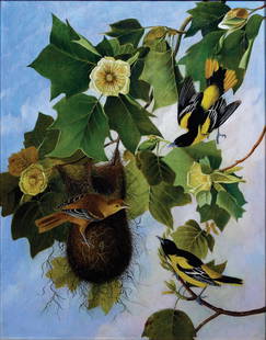 Kidd's Oil After Audubon's Baltimore Oriole: "The Baltimore Oriole". Joseph Bartholomew Kidd (1808-1889), after John James Audubon. Ca. 1831-1833. Oil on canvas. Canvas size: 26 x 20 1/2 inches. Framed size: 30 1/2 x 25 inches. Provenance: Mrs.