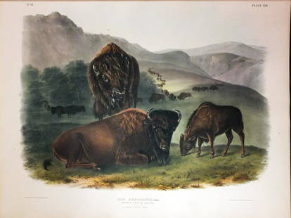 Audubon Lithograph, American Bison (Female): American Bison (Female), Plate 57. John James Audubon (1785-1851). First Edition Lithographs with Original Hand Color. New York: J.J. Audubon - [V.G. Audubon], 1845-1848. (1848). lithography by J. T.