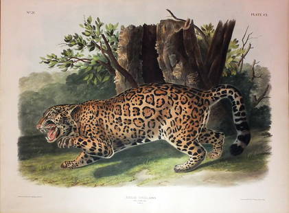 Audubon Lithograph, Jaguar: Jaguar, Plate 101. John James Audubon (1785-1851). First Edition Lithographs with Original Hand Color. New York: J.J. Audubon - [V.G. Audubon], 1845-1848. (1848). lithography by J. T. Bowen.