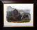 Audubon Lithograph Female Bison - 2