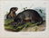 Audubon Lithograph Hoary Marmot