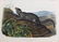 2 Audubon Rodent Lithographs