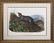 2 Audubon Rodent Lithographs - 2
