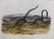 2 Audubon Rodent Lithographs - 3