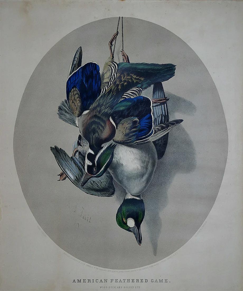 Currier, American Feathered Game: CURRIER, Nathaniel (1813-1888), after Arthur F. Tait (1819-1905).American Feathered Game: Wood Duck and Golden Eye.Lithograph with original hand color.New York, 1854.17 5/8" x 13 5/8" sheet.Gale Numbe