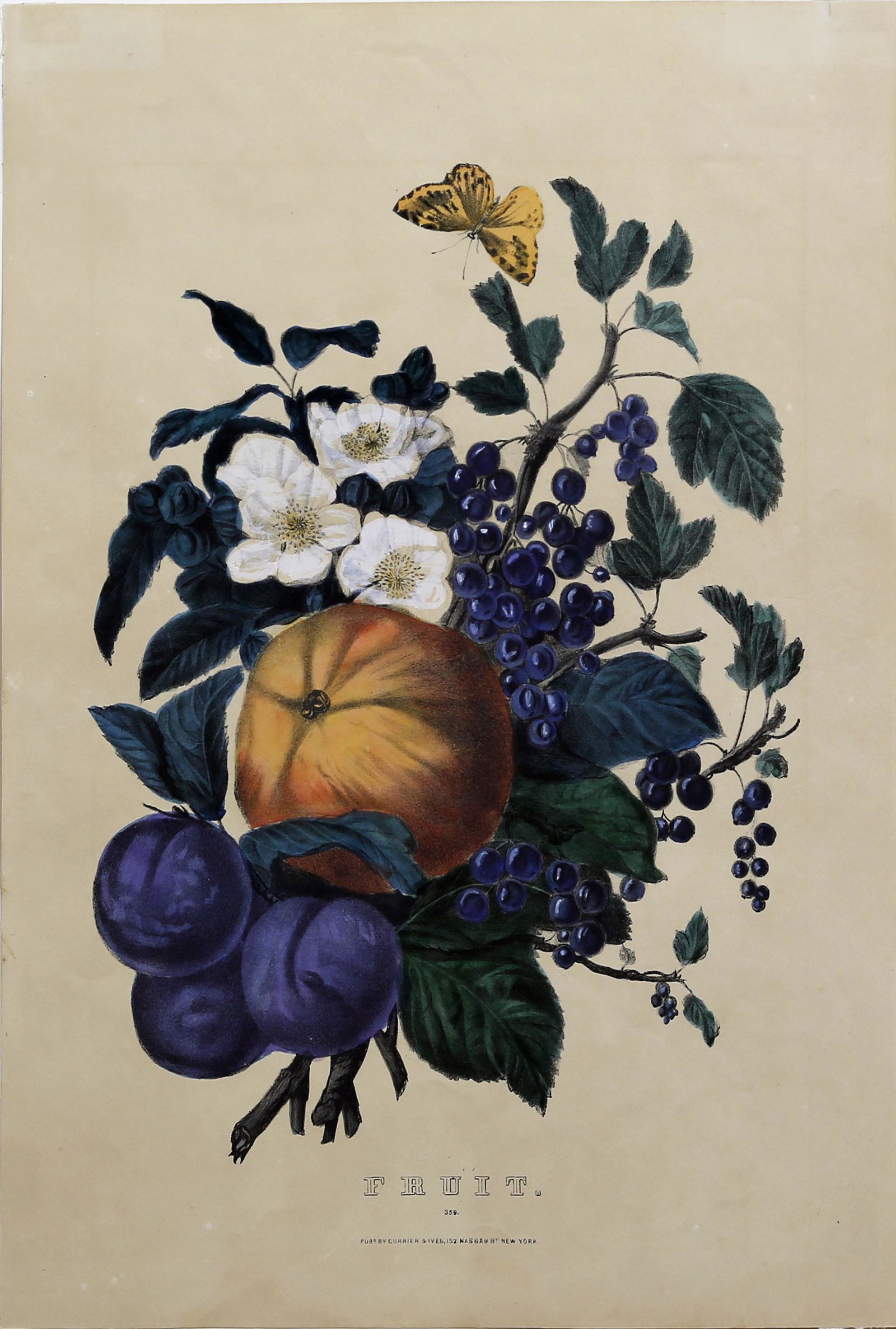 Currier & Ives, Fruit (1 of 1)
