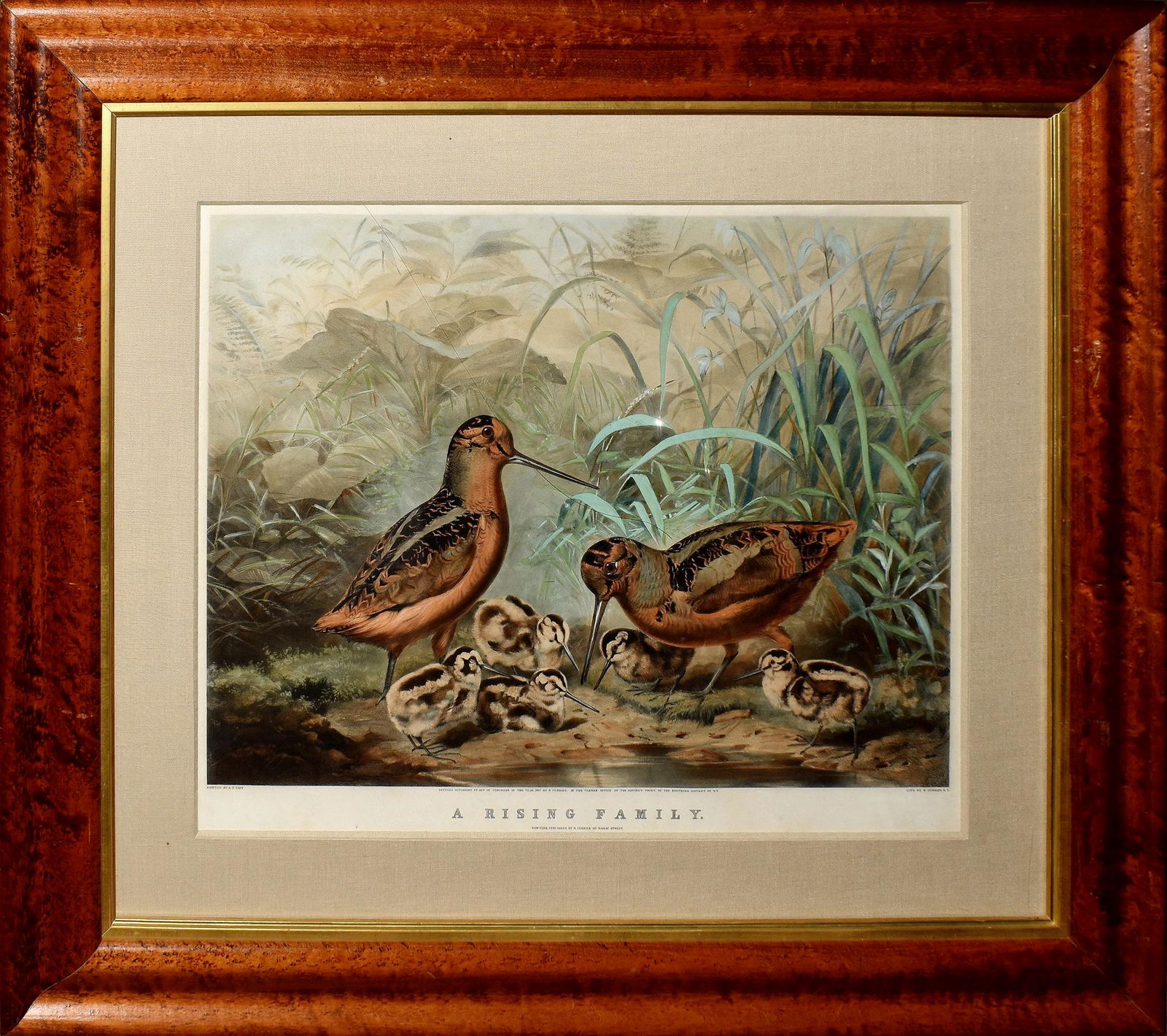 Currier & Ives - A Rising Family (1 of 1)