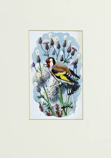 Tunnicliffe Original Watercolor, Goldfinch Perched on Thistles: TUNNICLIFFE, Charles Frederick - O.B.E., R.A. (British, 1901-1979). Goldfinch Perched on Thistles. Watercolor, gouache, and pencil on paper. Signed lower right: "C.F. Tunnicliffe" 8 7/16" x 5 1/2" she