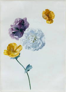 Franz Gruber Original Watercolor, Roses: GRUBER, Franz Xaver (1801-1862), attributed to. Roses. Watercolor and gouache on paper. Early 19th Century. 19" x 23" framed. Provenance: Ambassador and Mrs. Joseph Verner Reed. Franz Xaver Gruber was