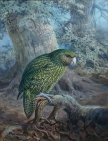 Keulemans Original Watercolor, The Kakapo or Owl Parrot
