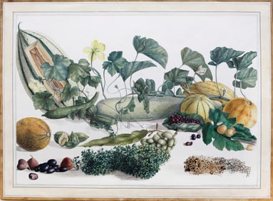 Company School, Benjamin Wolff Collection - Watercolor with Melon, Figs, and Other Exotic Fruits