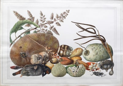 Company School, Benjamin Wolff Collection - Watercolor with Melon, Cocoa, and Exotic Fruits, with