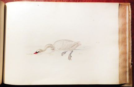 Pieter Holsteyn, 168 Exceptionally Fine Bound Original Watercolors of the Dutch Empire, c. 1638