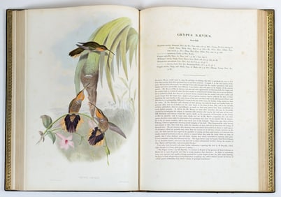 John Gould's A Monograph of the Trochilidae, or Family of Hummingbirds, With Supplement - First