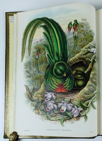 John Gould's A Monograph of the Trogonidae, or Family of Trogons - Second, Updated, Edition