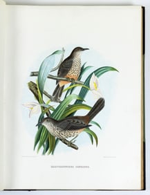 Daniel G. Elliot's The New and Heretofore Unfigured Species of the Birds of North America