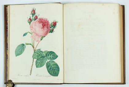 Pierre-Joseph Redoute's Les Roses. First Edition - Foljambe Collection