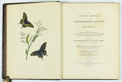 Abbot's The Natural History of the Rarer Lepidopterous Insects of Georgia - First Edition