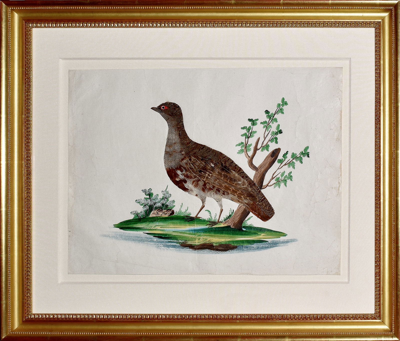 Pair of German Featherbird Watercolors (1 of 2)