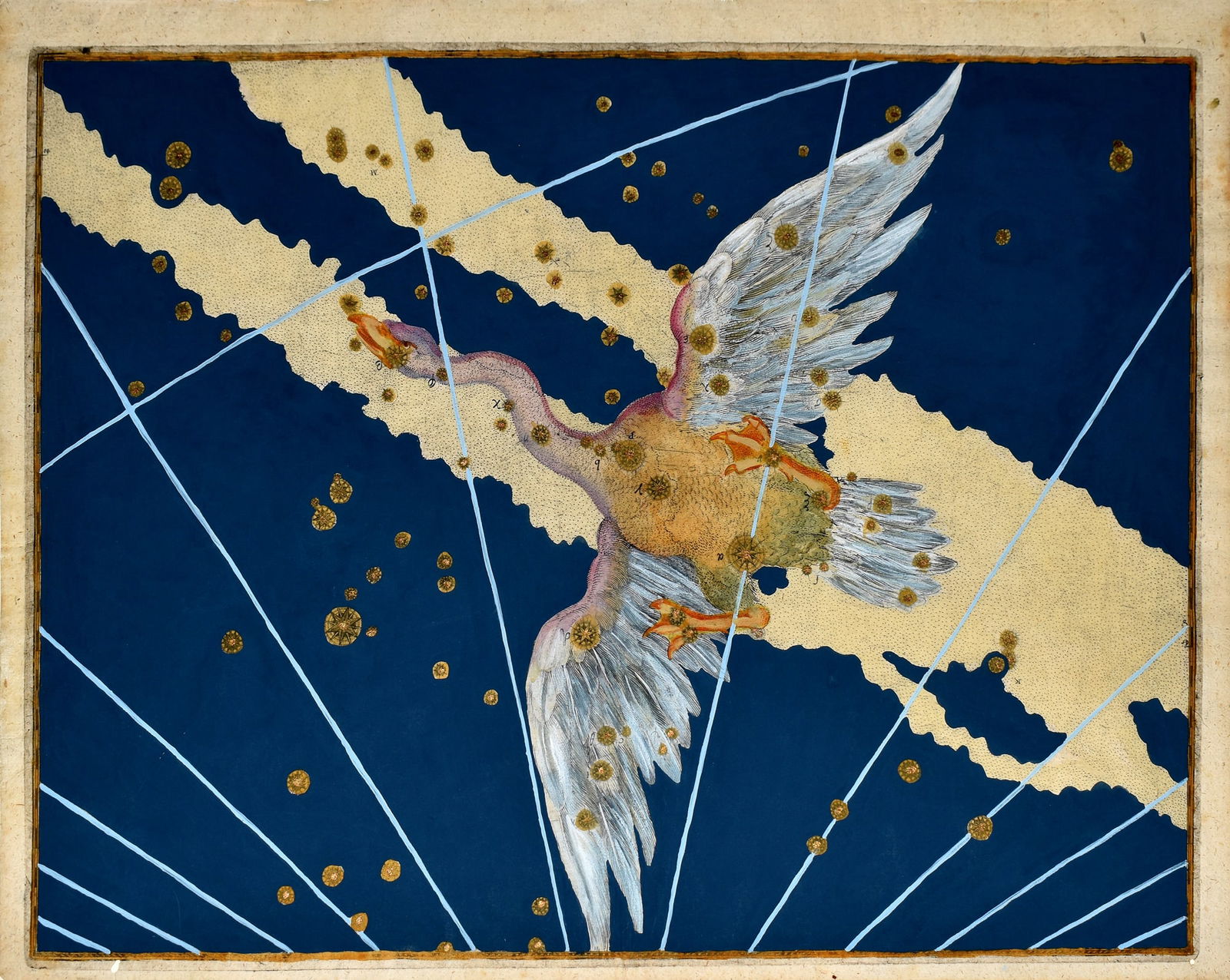 Bayer Celestial Engraving, Cygnus (The Swan) (1 of 1)