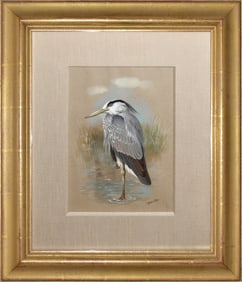 Basil Ede Watercolor, Adult Grey Heron - America's Best Southern 20th C. Ornithological Artist