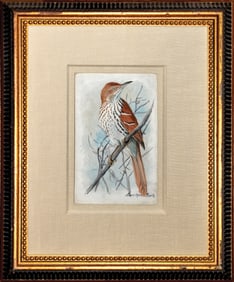 Louis Agassiz Fuertes Signed Watercolor, Brown Thrasher.