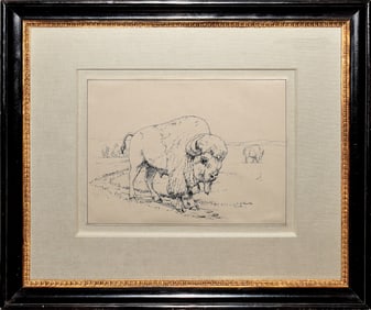 Louis Agassiz Fuertes Signed Drawing of a Buffalo