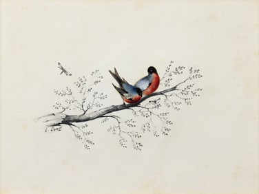 Edward Lear Signed Watercolor, Two red-breasted birds on a branch