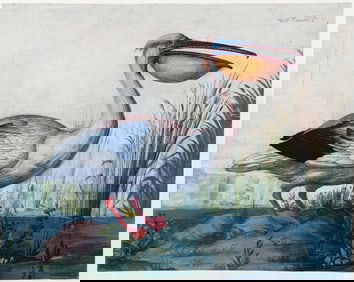 Jacob Quina The Younger Watercolor of a Pelican - A Masterpiece of 17th Century Dutch Naturalism