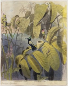 Edouard Travies Signed Original Watercolor, The Flycatcher of Paradis and Ruby of Carolina