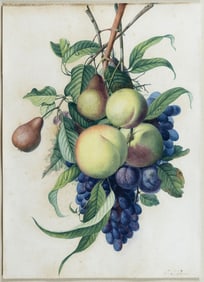 Jean Louis Prevost Signed Watercolor, Still Life with Peaches, Pears, Plums and Grapes