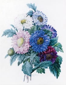 Jean Baptiste Pillement Watercolor, A Bouquet of Flowers