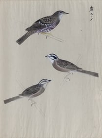 Pair of Chinese School Watercolors of Birds