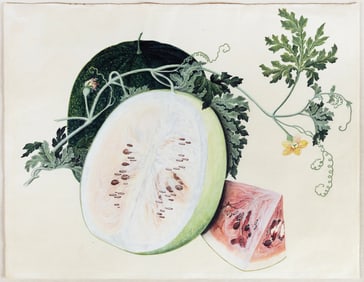Early 19th Century Malaysian or Indian School Watercolor, Watemelon