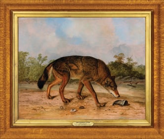 John Woodhouse Audubon Oil of a Texan Wolf - Audubon’s Finest Painting of a Quadruped