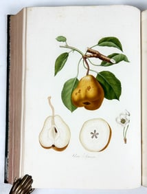 Giorgio Gallesio's First Edition of Pomona Italiana - The Finest Italian Work on Fruits