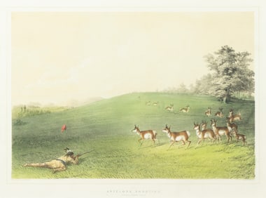 George Catlin Lithograph, Antelope Shooting