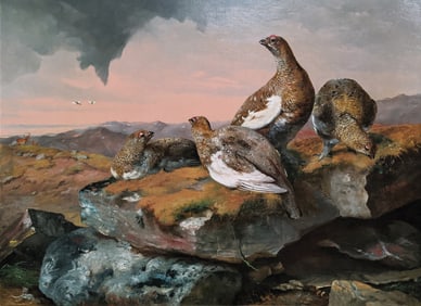 John Christopher Bell Oil on Canvas, Ptarmigans