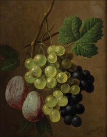 Georgius Jacobus Johannes VAN OS, The Younger Oil on Canvas, Still Life with Grapes and Plums
