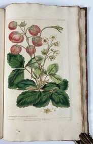 Philip Miller's Figures of the most Beautiful, Useful, and Uncommon Plants described in The
