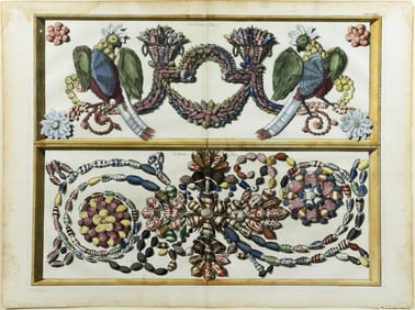 Seba Engraving from Locupletissimi Rerum Naturalium Thesauri - [Shell Motif, Birds] Tab XXXVI