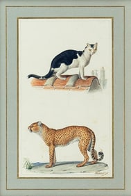 Meunier Original Watercolor - Domestic Cat and Cheetah [Paris Rooftop]