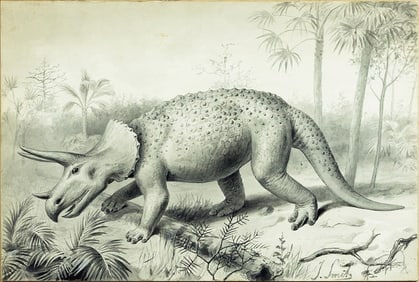 Joseph Smit, Triceratops - Remains found in Cretaceous strata of Wyoming, U.S.A.