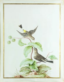 Nicolas Robert, Pair of African Yellow-rumped Singers