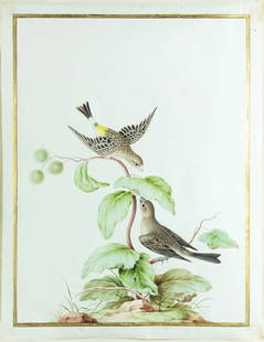 Nicolas Robert, Pair of African Yellow-rumped Singers: ROBERT, Nicolas (French, 1614-1685). Pair of African Yellow-rumped Singers [Couple de chanteurs d’Afrique à croupion jaune (Serinus atrogularis)]. Pencil, watercolor and gouache, on vellum, with go