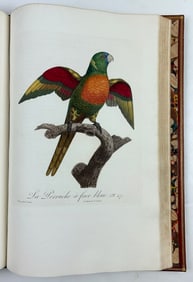 Levaillant, Histoire naturelle des perroquets - One of the most beautiful French Bird Books