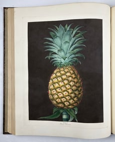 George Brookshaw, Pomona Britannica - The Greatest British Book on Fruits