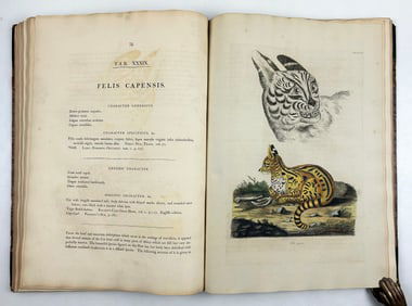 Miller & Shaw - Cimelia physica: Figures of rare and curious quadrupeds, birds...