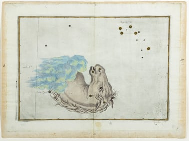 Johann Bayer Engraving from Uranometria, Equicul