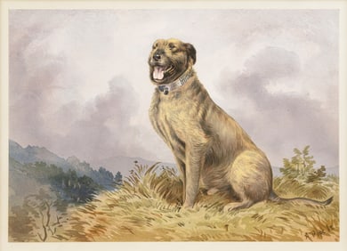 Alexander Pope Chromo from the Celebrated Dogs of America - Bevis (Irish Wolf-Dog)